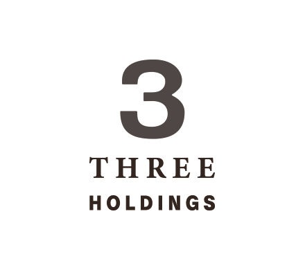 THREE HOLDINGS